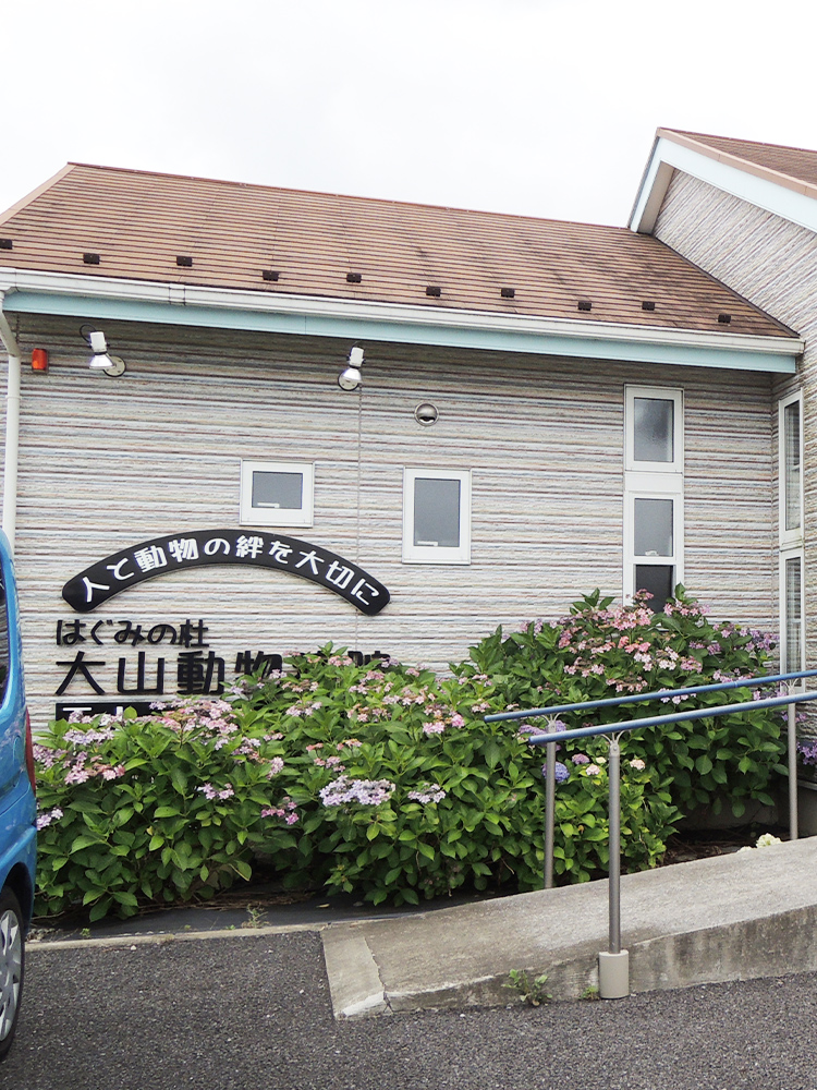 はぐみの杜 大山動物病院